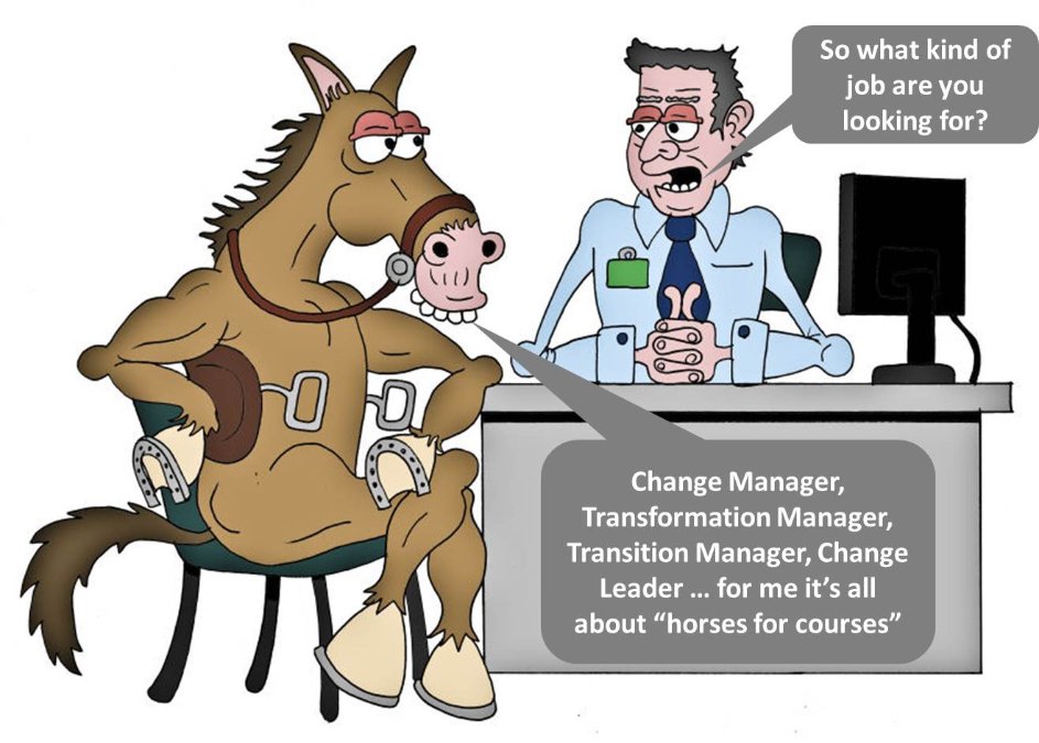 horse for courses - change management