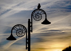 Ammonite_lamp_post_at_dusk,_Lyme_Regis