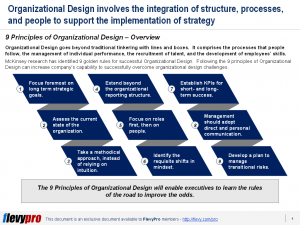 The 9 Principles of Organizational Design: When Re-designing Becomes a ...