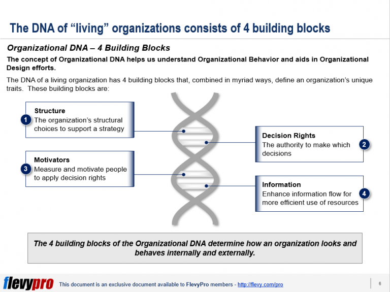 Organizational DNA 101 A Guide to Defining Your Organization’s