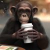 chimpanzee drinking a coffee