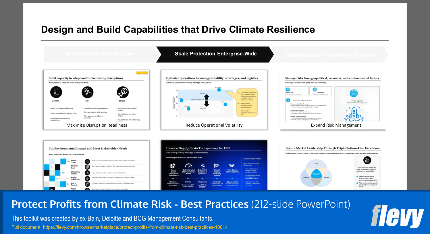 Protect Profits from Climate Risk - Best Practices (212-slide PPT PowerPoint presentation slide deck (PPTX)) Preview Image