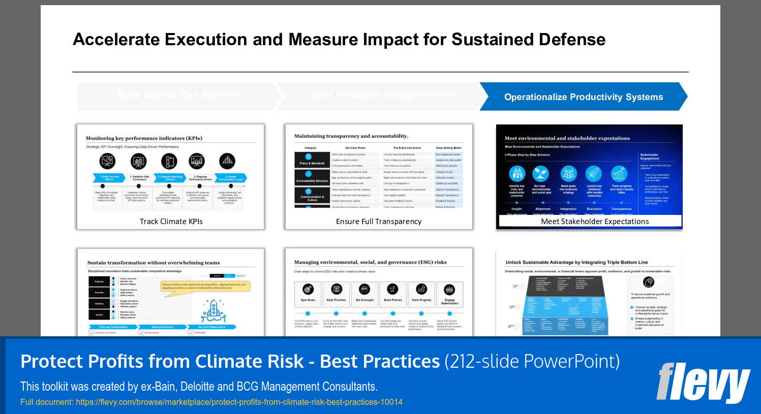Protect Profits from Climate Risk - Best Practices (212-slide PPT PowerPoint presentation slide deck (PPTX)) Preview Image