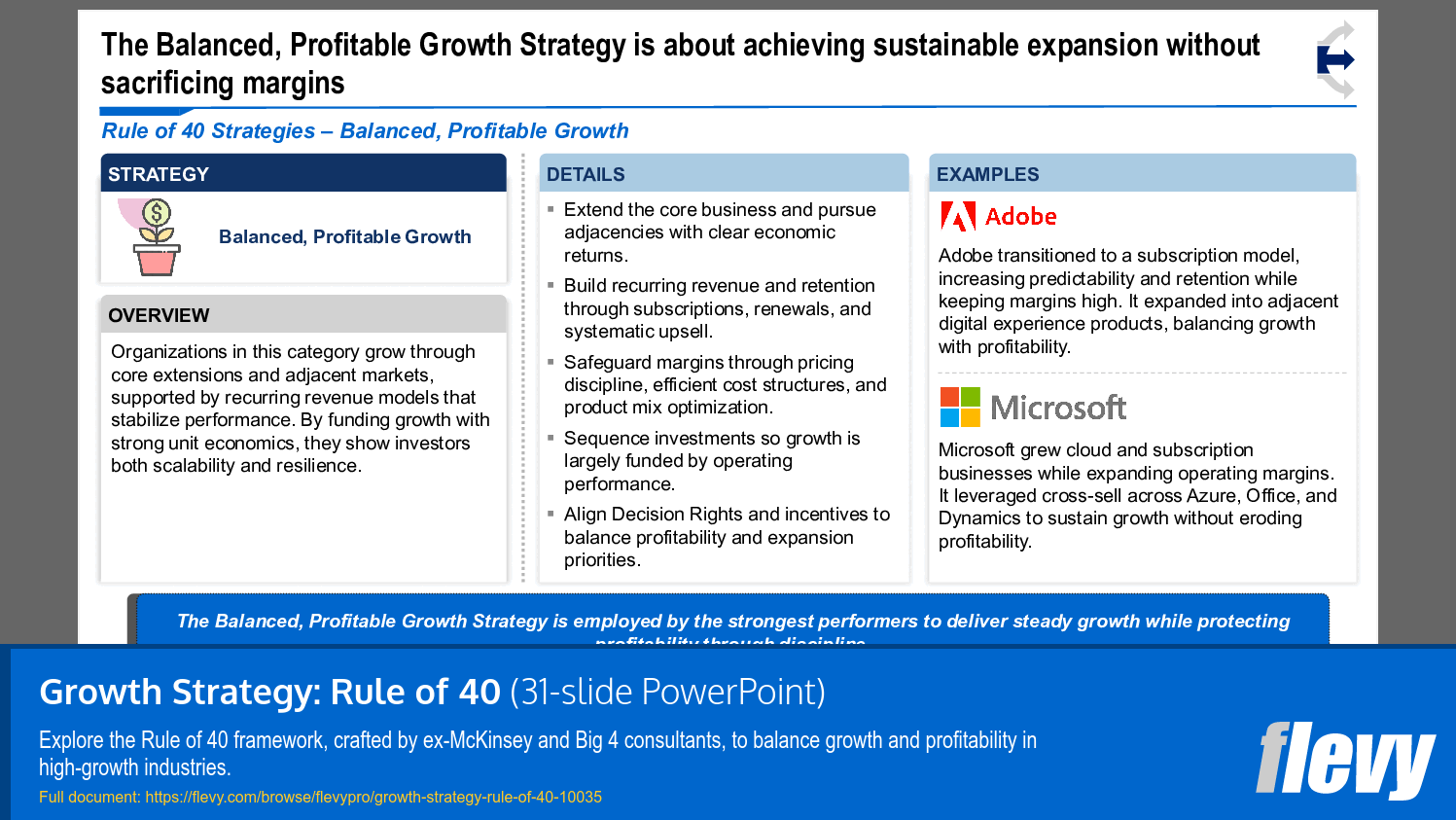 Balanced Growth Approach Combining Revenue Expansion and Margin Control