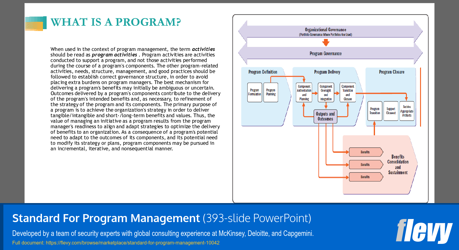 Standard For Program Management (393-slide PPT PowerPoint presentation slide deck (PPTX)) Preview Image