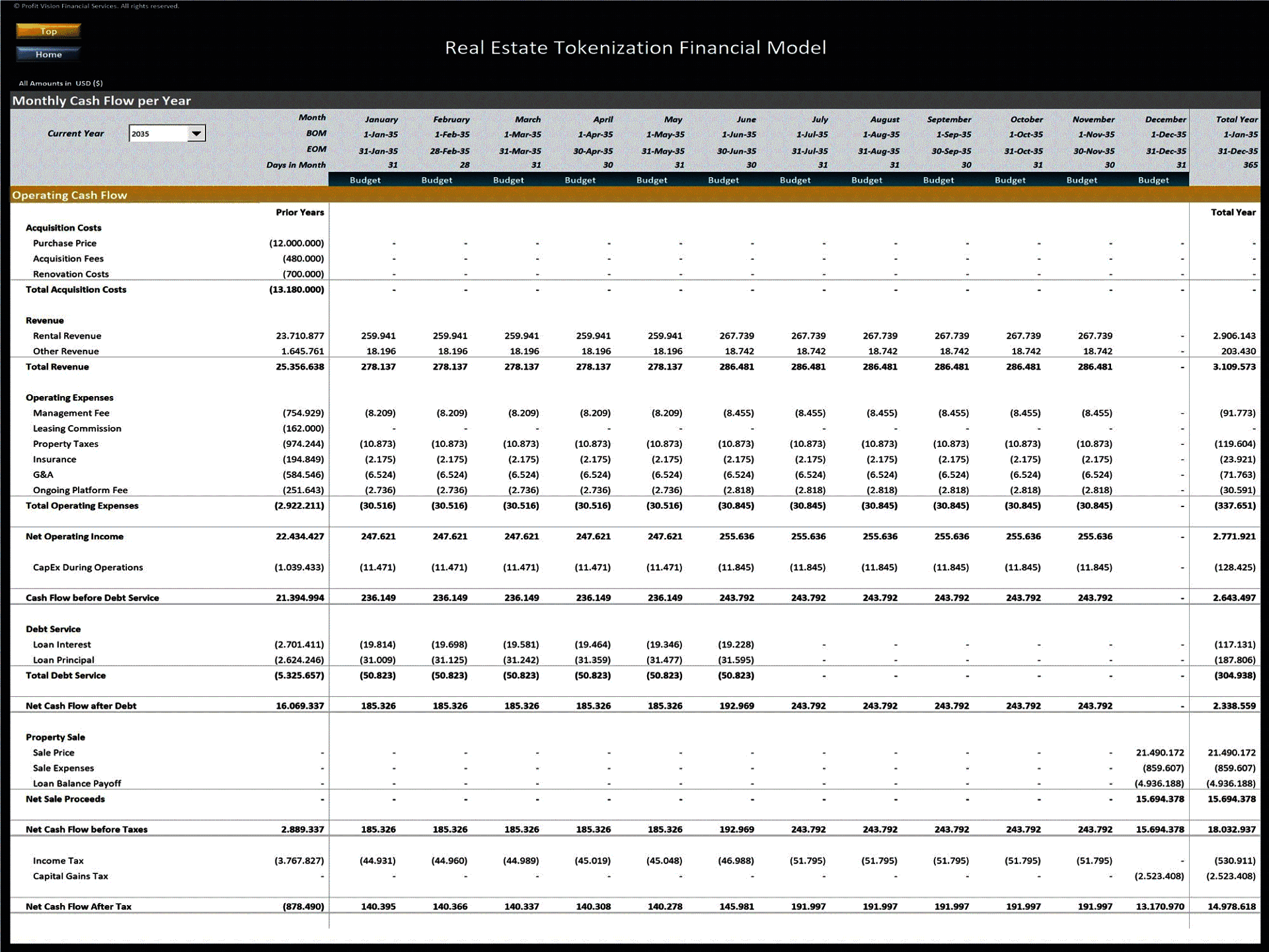 Real Estate Tokenization - 10 Year Financial Model (Excel template (XLSX)) Preview Image