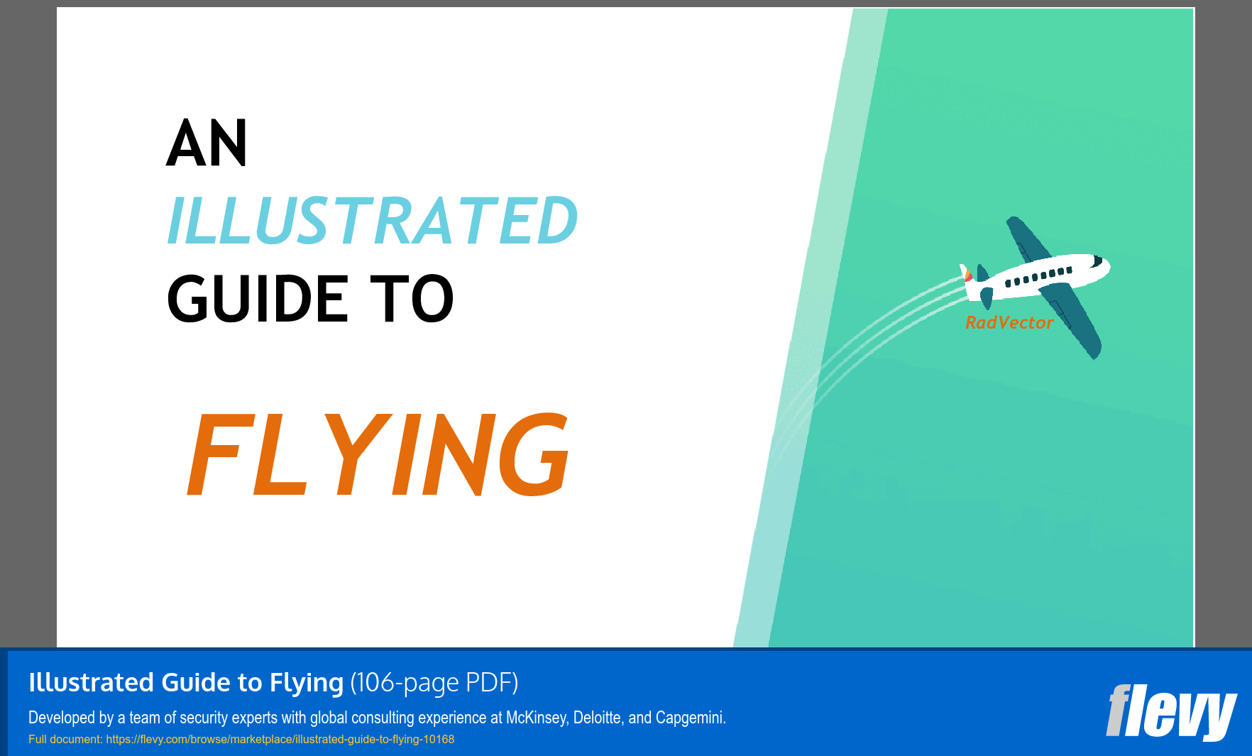 Illustrated Guide to Flying (106-page PDF document) Preview Image