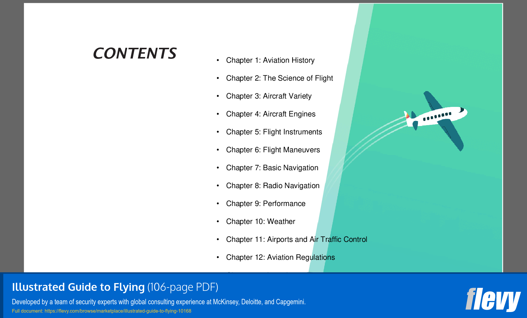 Illustrated Guide to Flying (106-page PDF document) Preview Image