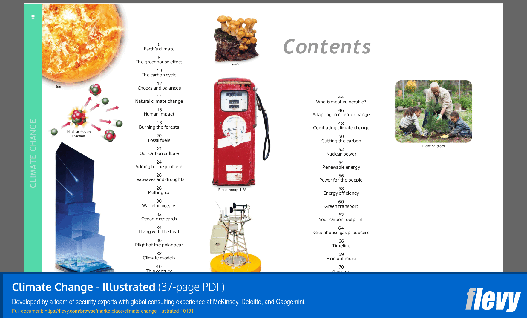Climate Change - Illustrated (37-page PDF document) Preview Image