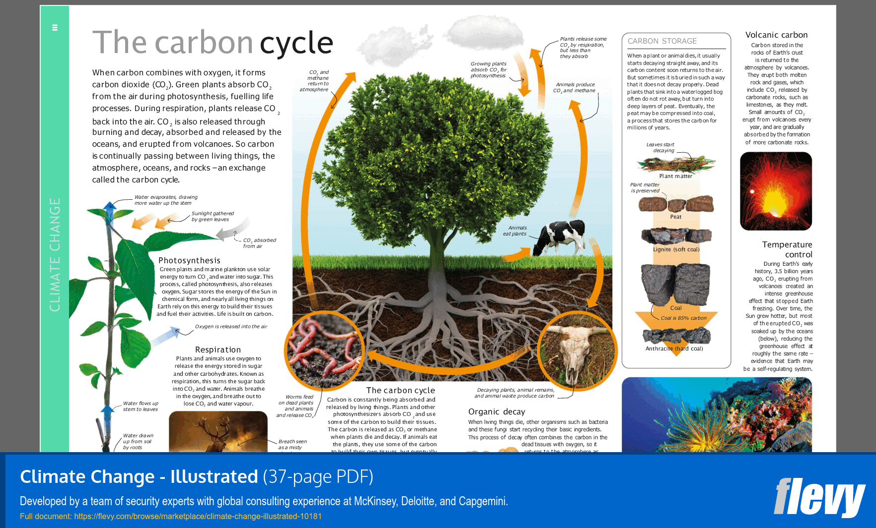Climate Change - Illustrated (37-page PDF document) Preview Image