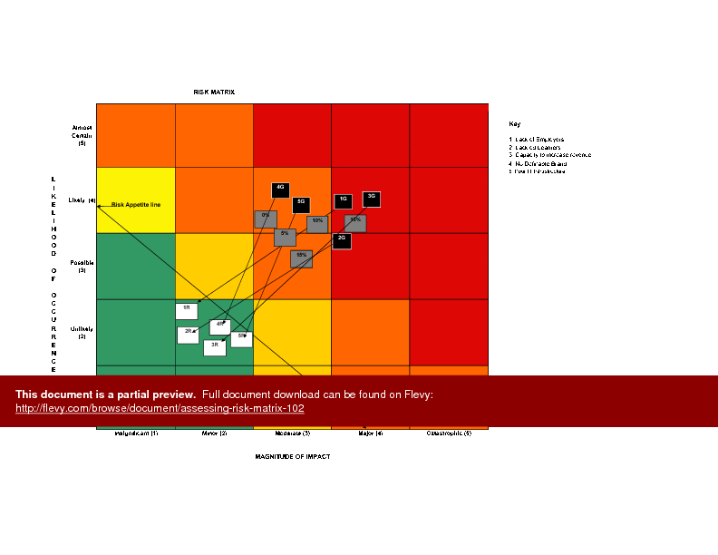 Assessing Risk Matrix (Excel template (XLS)) Preview Image