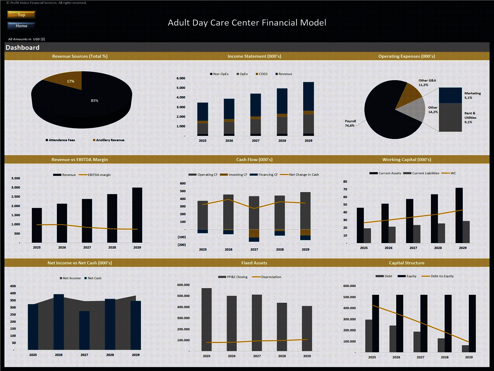 Adult Day Care Center – 5 Year Financial Model (Excel template (XLSX)) Preview Image