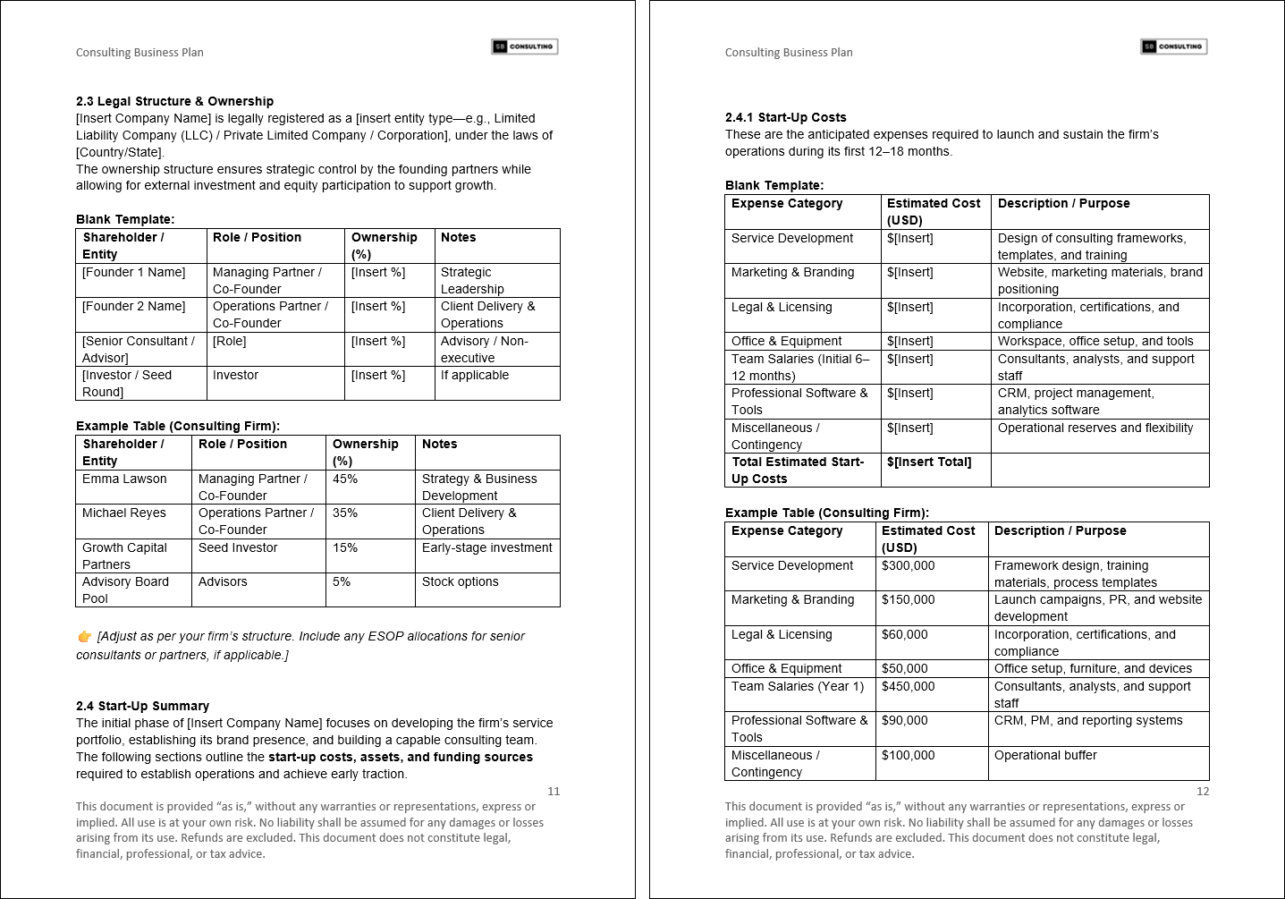 Consulting Business Plan (70-page Word document) Preview Image