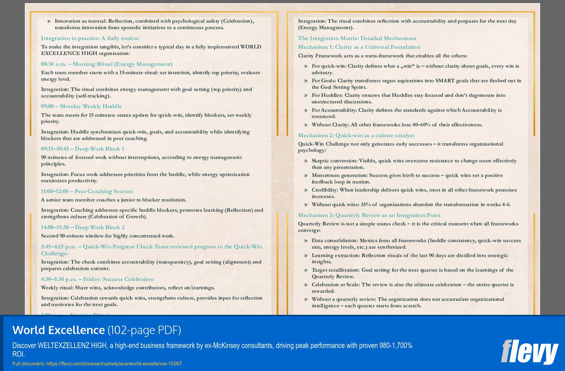 World Excellence (102-page PDF document) Preview Image