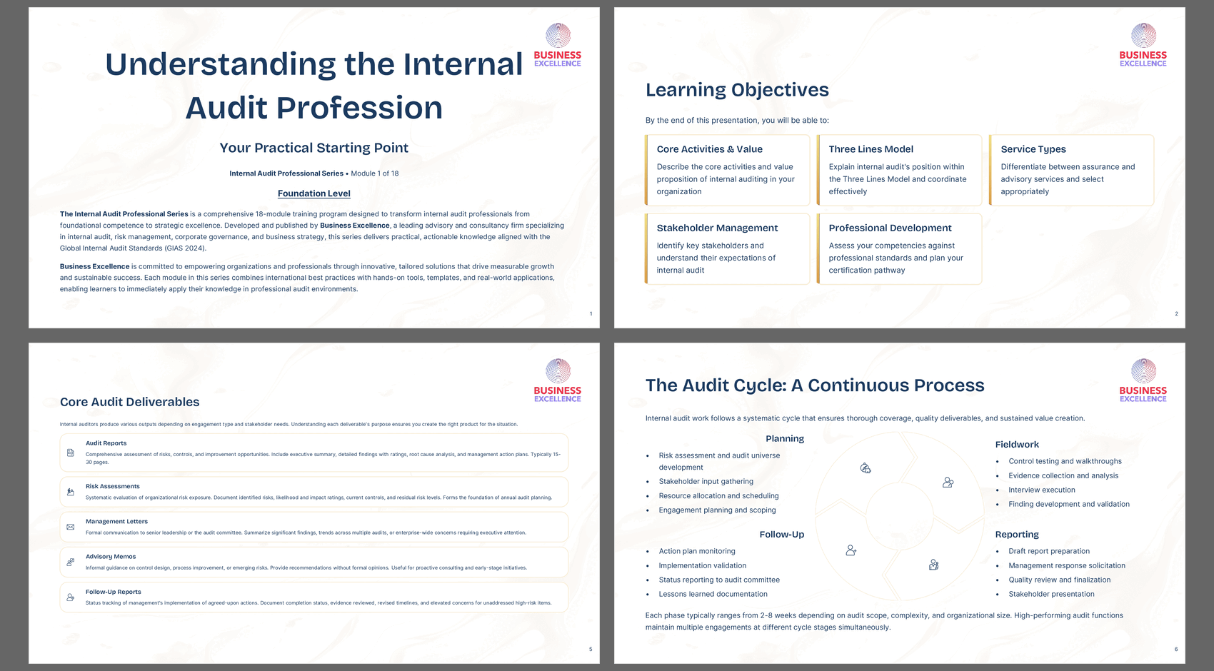 Internal Audit Professional Series - Module 1: The Profession (40-page PDF document) Preview Image