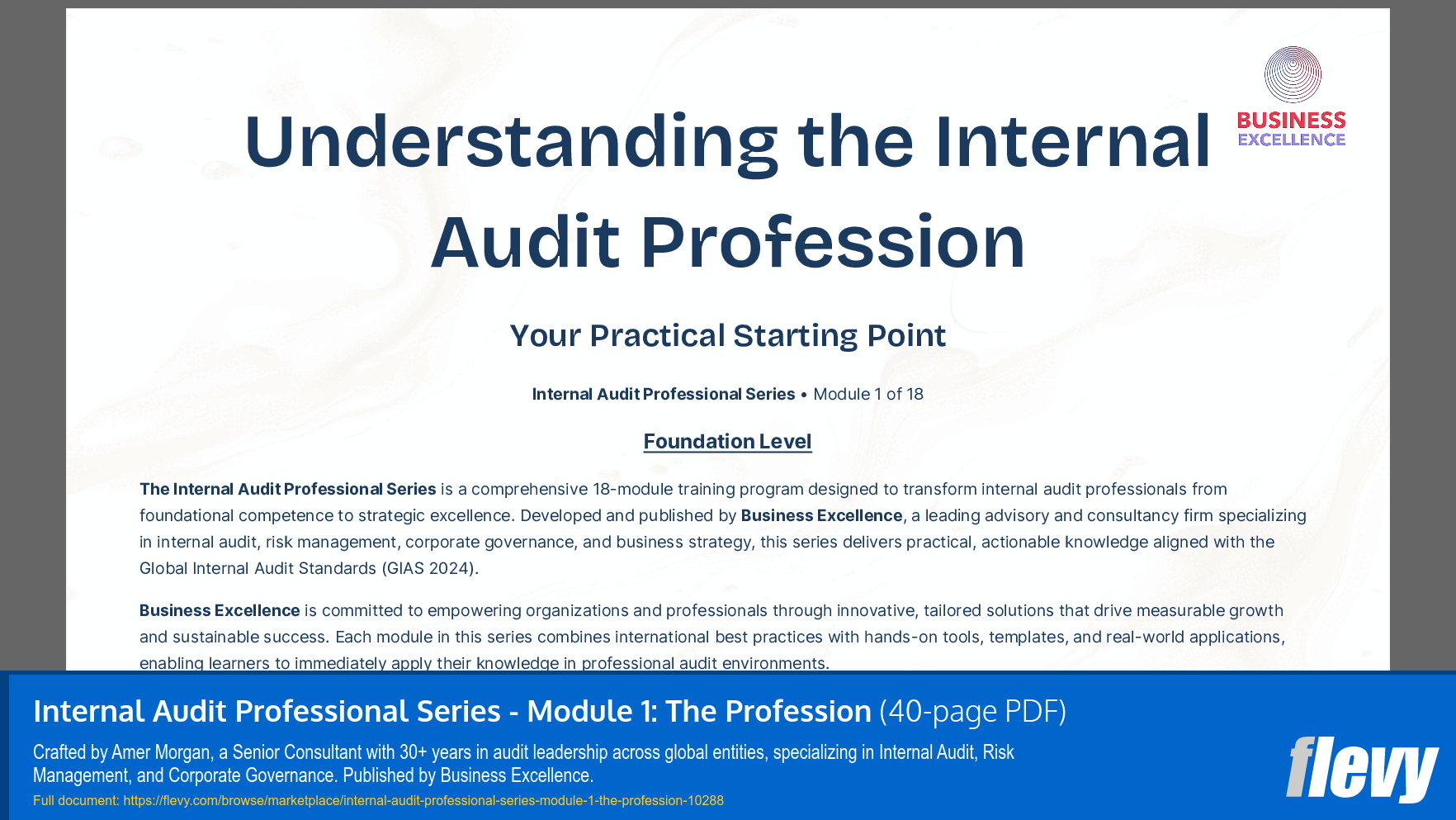 Internal Audit Professional Series - Module 1: The Profession (40-page PDF document) Preview Image