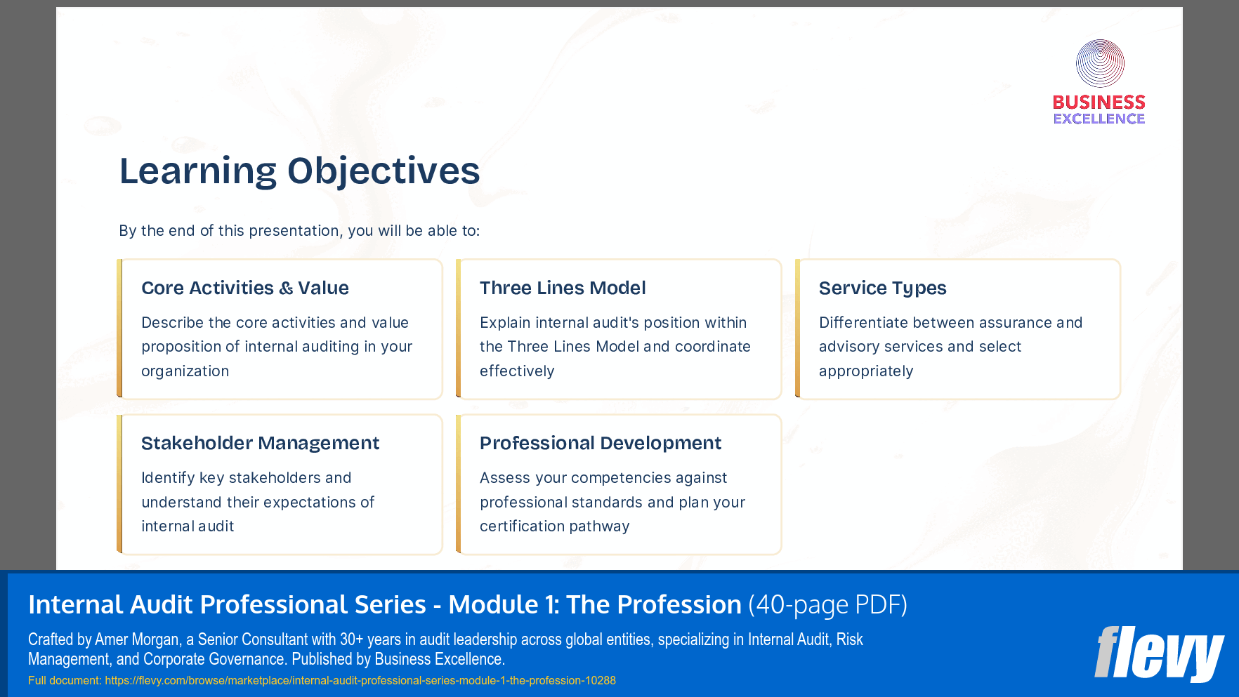 Internal Audit Professional Series - Module 1: The Profession (40-page PDF document) Preview Image