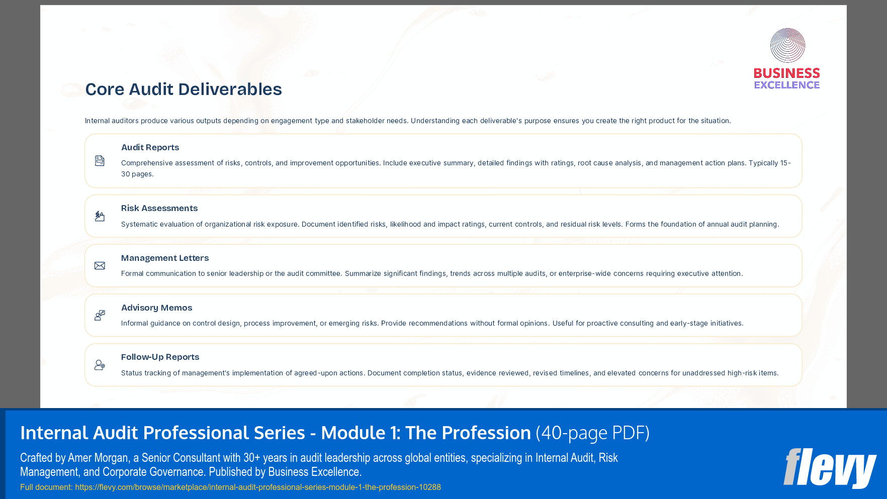 Internal Audit Professional Series - Module 1: The Profession (40-page PDF document) Preview Image