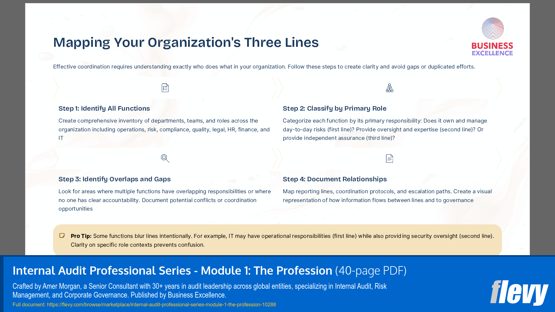 Internal Audit Professional Series - Module 1: The Profession (40-page PDF document) Preview Image