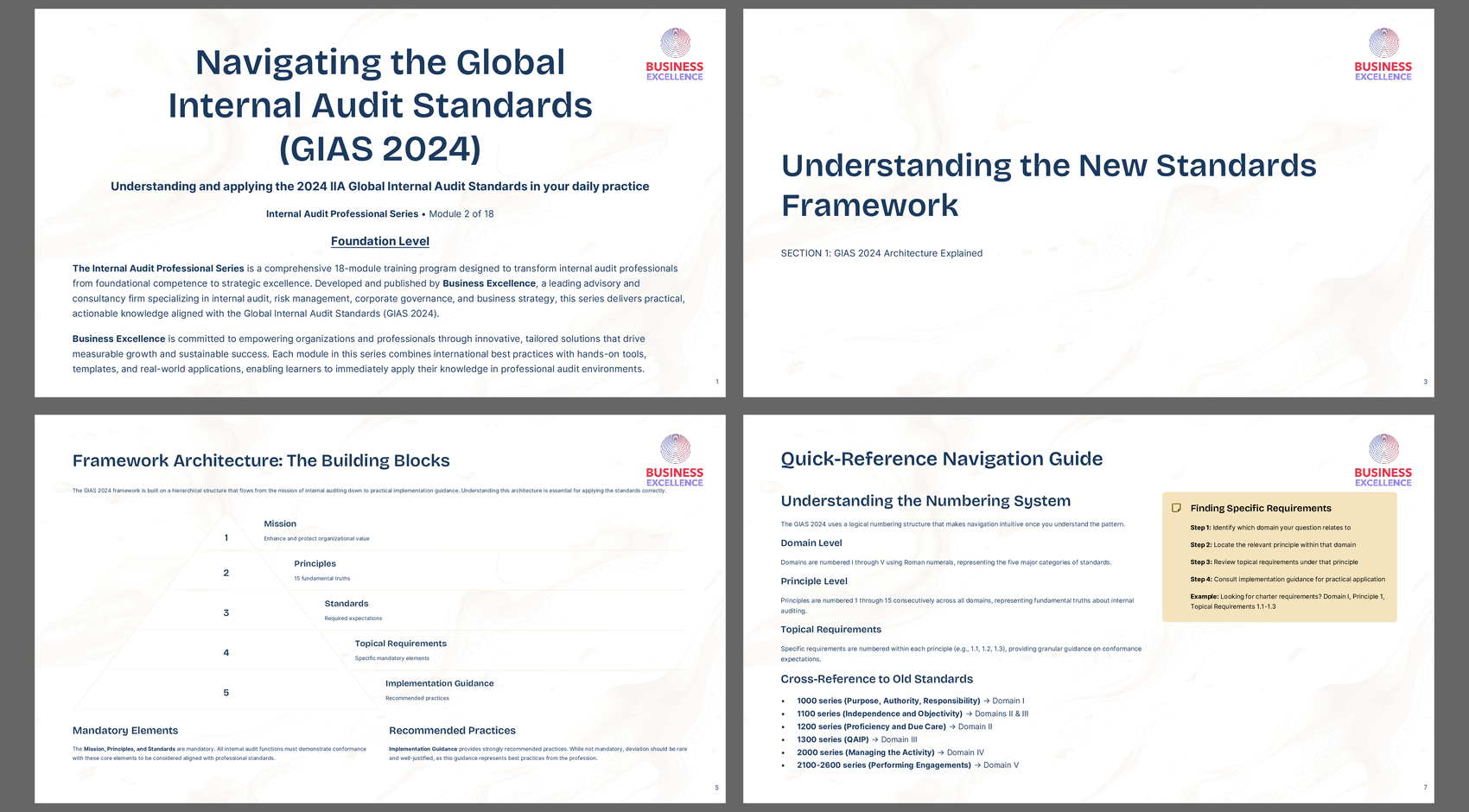 IA Professional Series M02 GIAS 2024 Standards (41-page PDF document) Preview Image