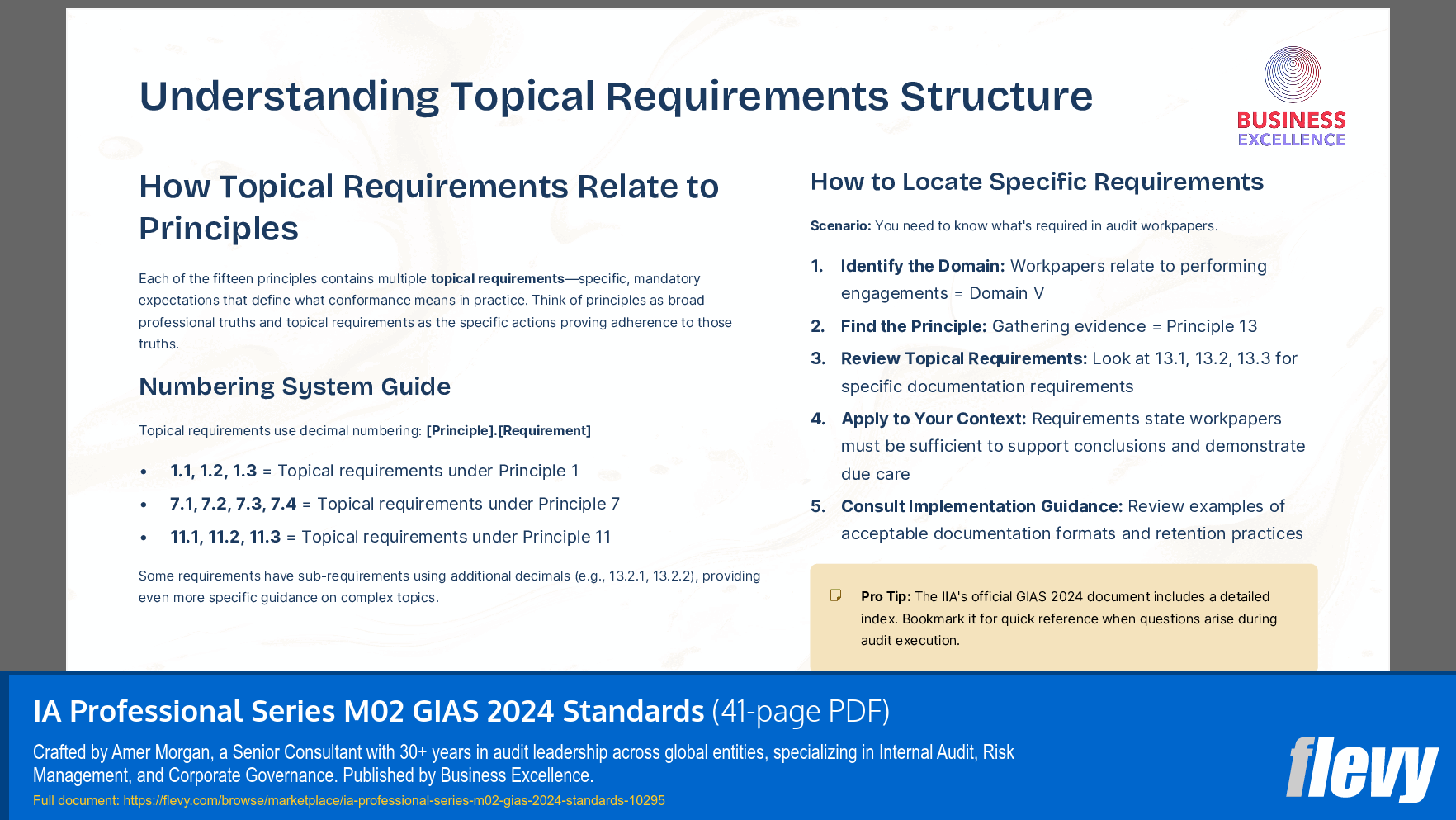 IA Professional Series M02 GIAS 2024 Standards (41-page PDF document) Preview Image