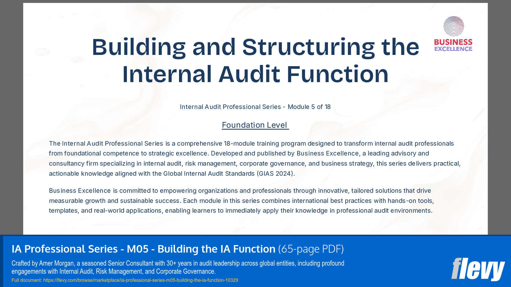 IA Professional Series - M05 - Building the IA Function (65-page PDF document) Preview Image