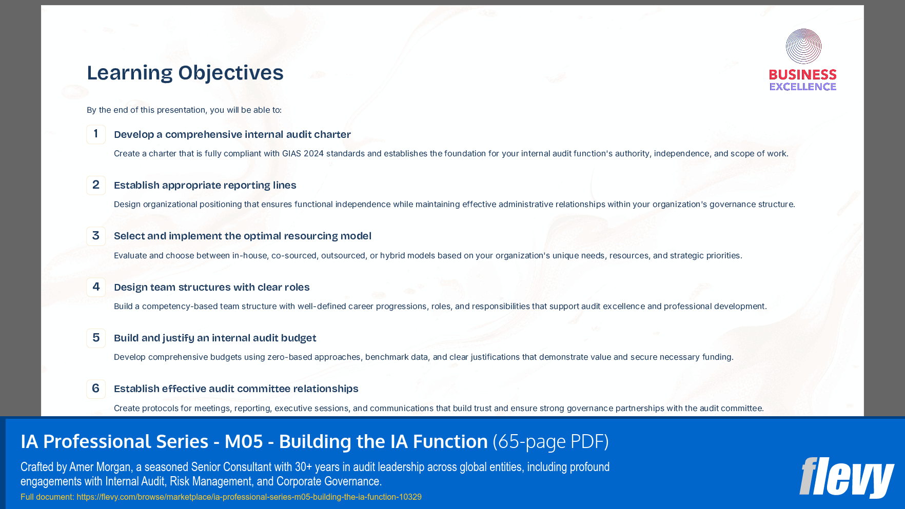IA Professional Series - M05 - Building the IA Function (65-page PDF document) Preview Image