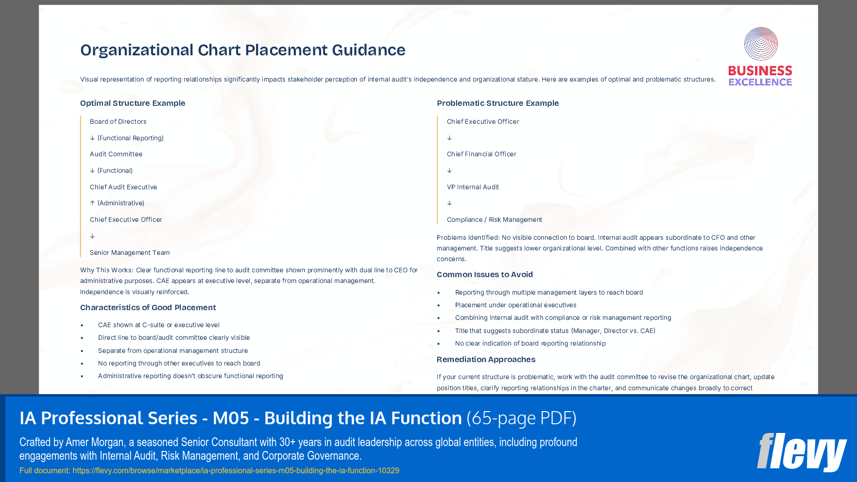 IA Professional Series - M05 - Building the IA Function (65-page PDF document) Preview Image