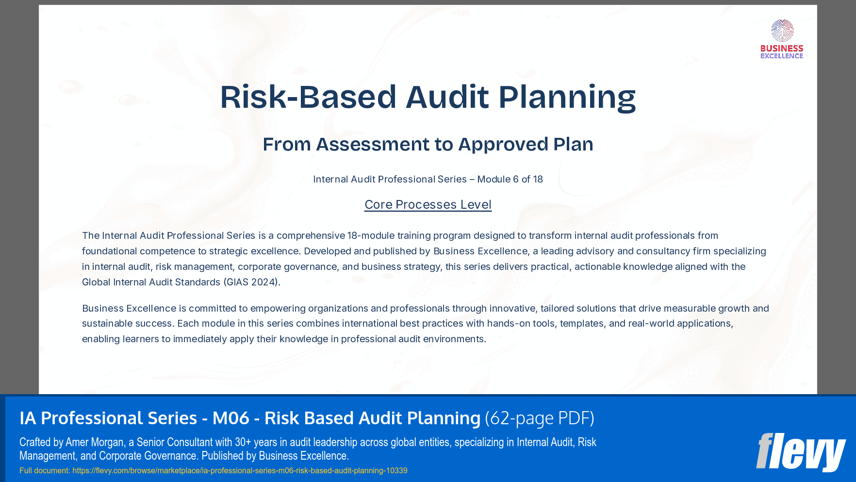 IA Professional Series - M06 - Risk Based Audit Planning (62-page PDF document) Preview Image