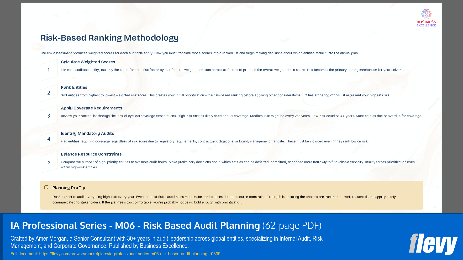 IA Professional Series - M06 - Risk Based Audit Planning (62-page PDF document) Preview Image