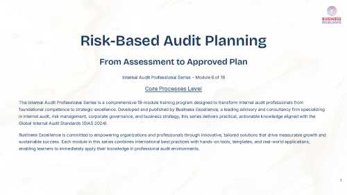 Internal Audit Professional Series - Core Processes Level (Document Bundle)