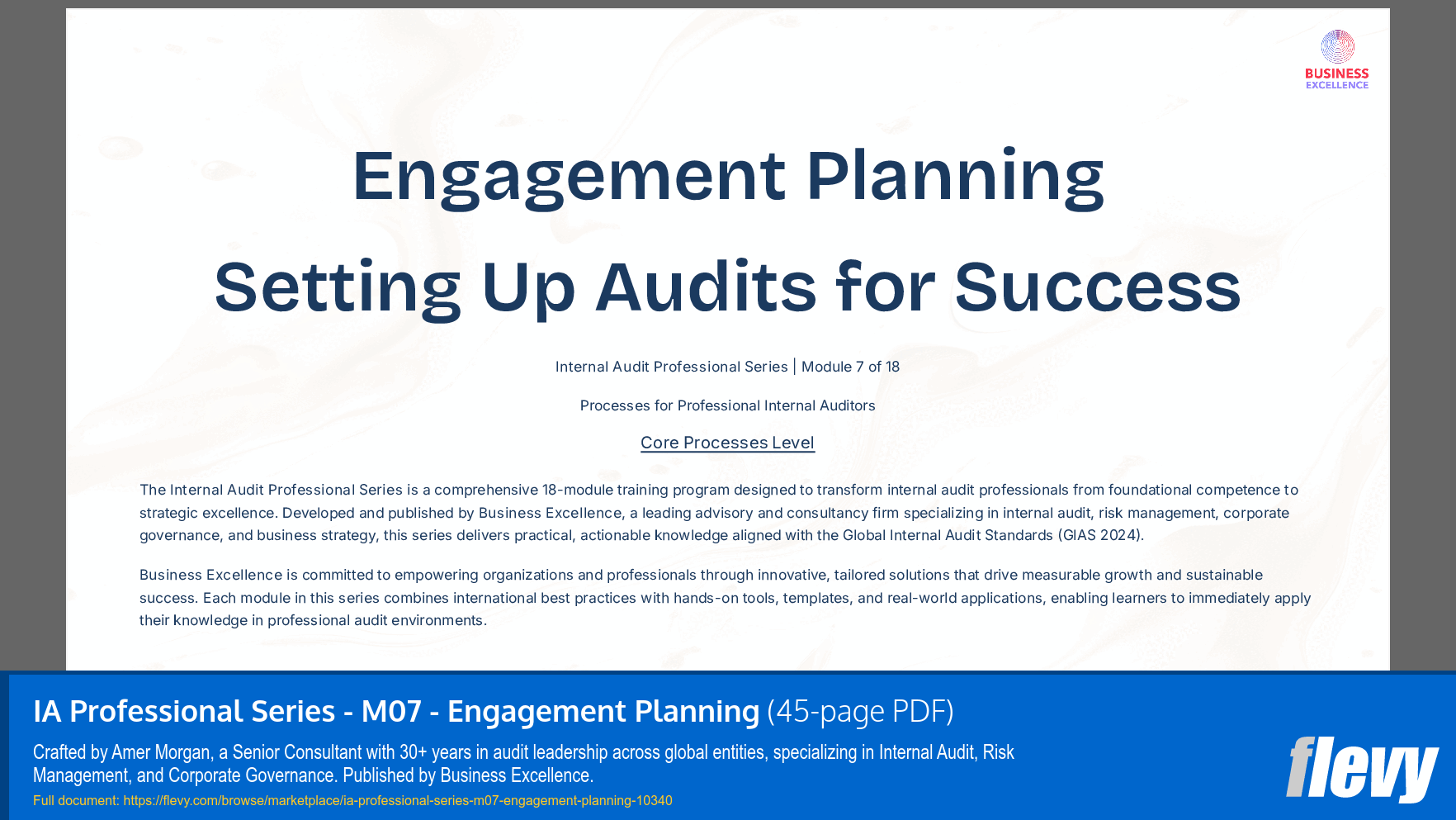IA Professional Series - M07 - Engagement Planning (45-page PDF document) Preview Image