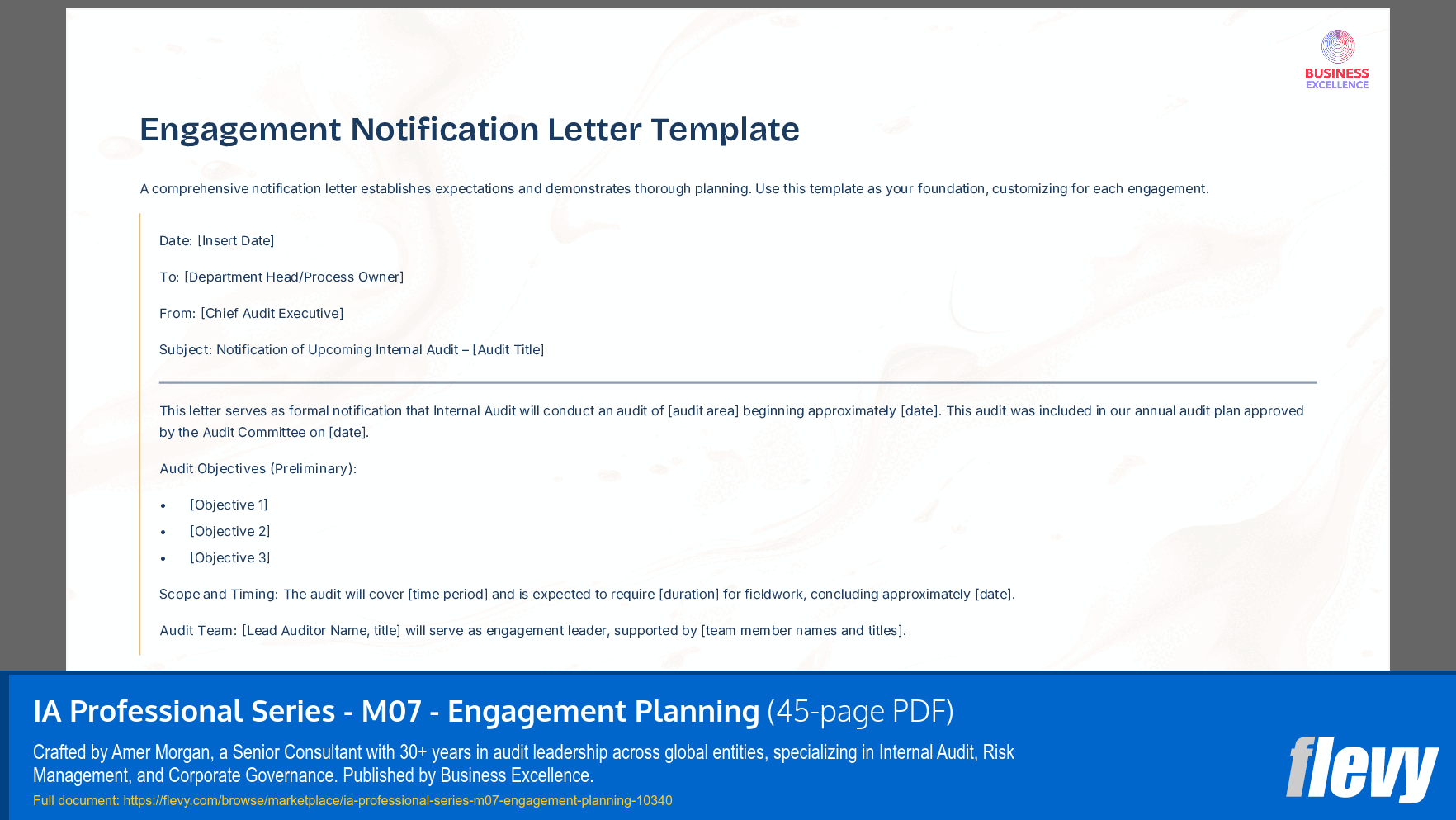 IA Professional Series - M07 - Engagement Planning (45-page PDF document) Preview Image