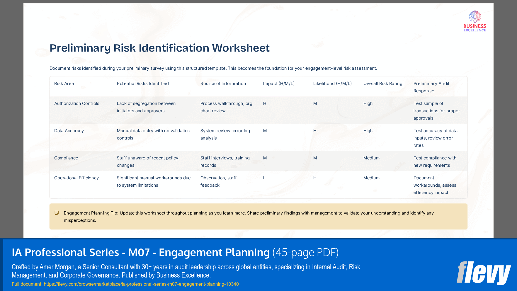 IA Professional Series - M07 - Engagement Planning (45-page PDF document) Preview Image