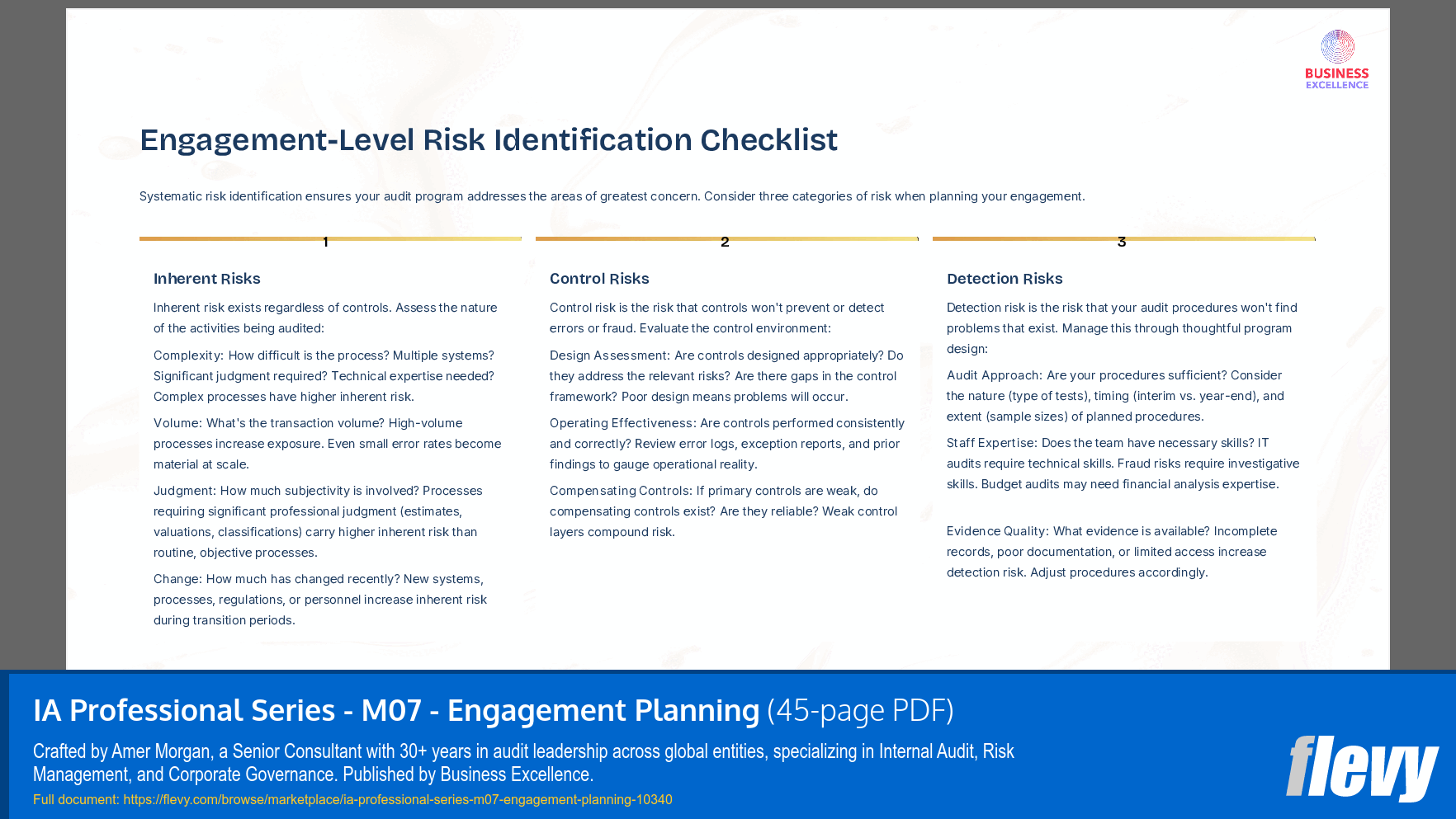 IA Professional Series - M07 - Engagement Planning (45-page PDF document) Preview Image