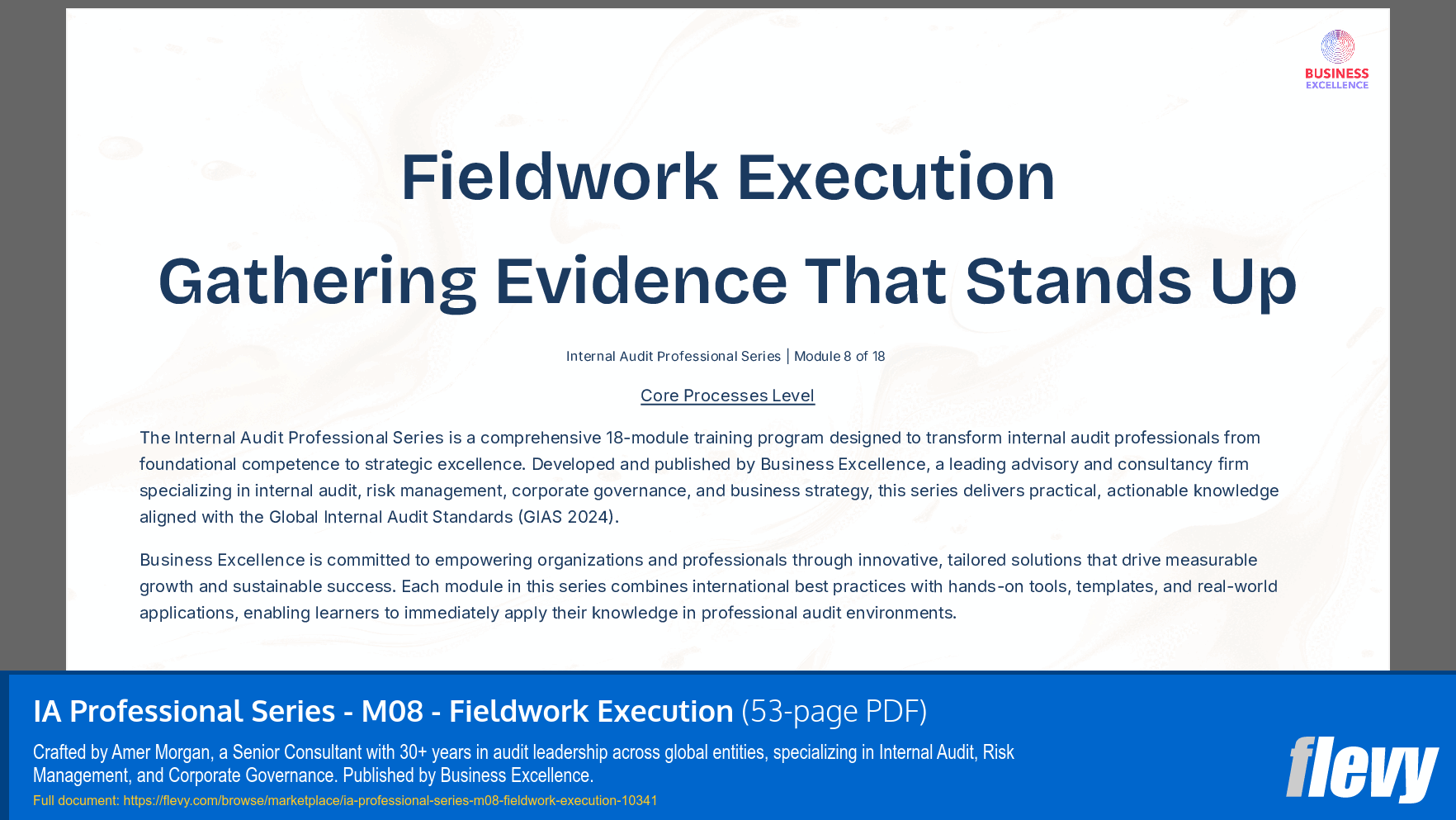 IA Professional Series - M08 - Fieldwork Execution (53-page PDF document) Preview Image