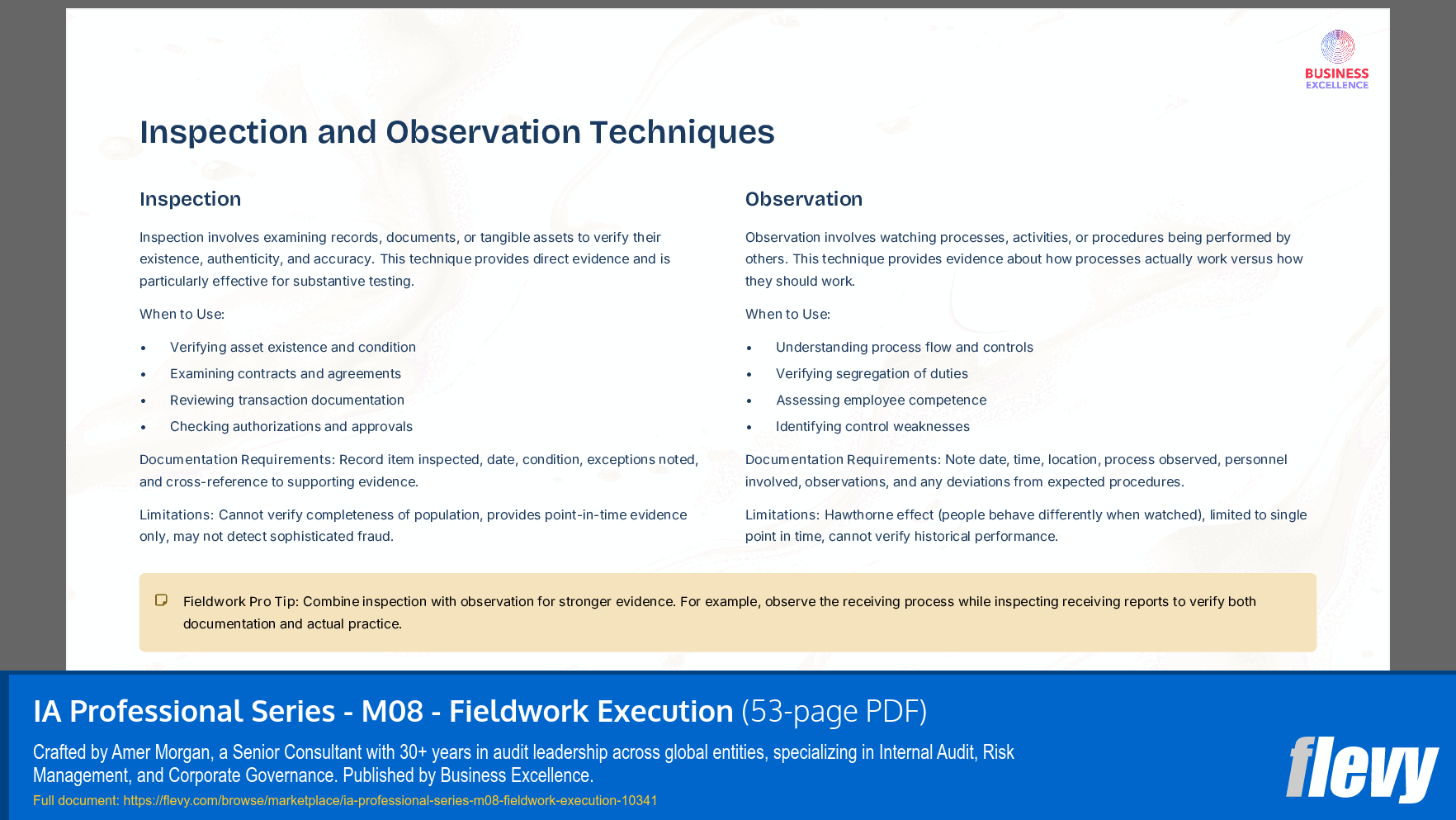 IA Professional Series - M08 - Fieldwork Execution (53-page PDF document) Preview Image