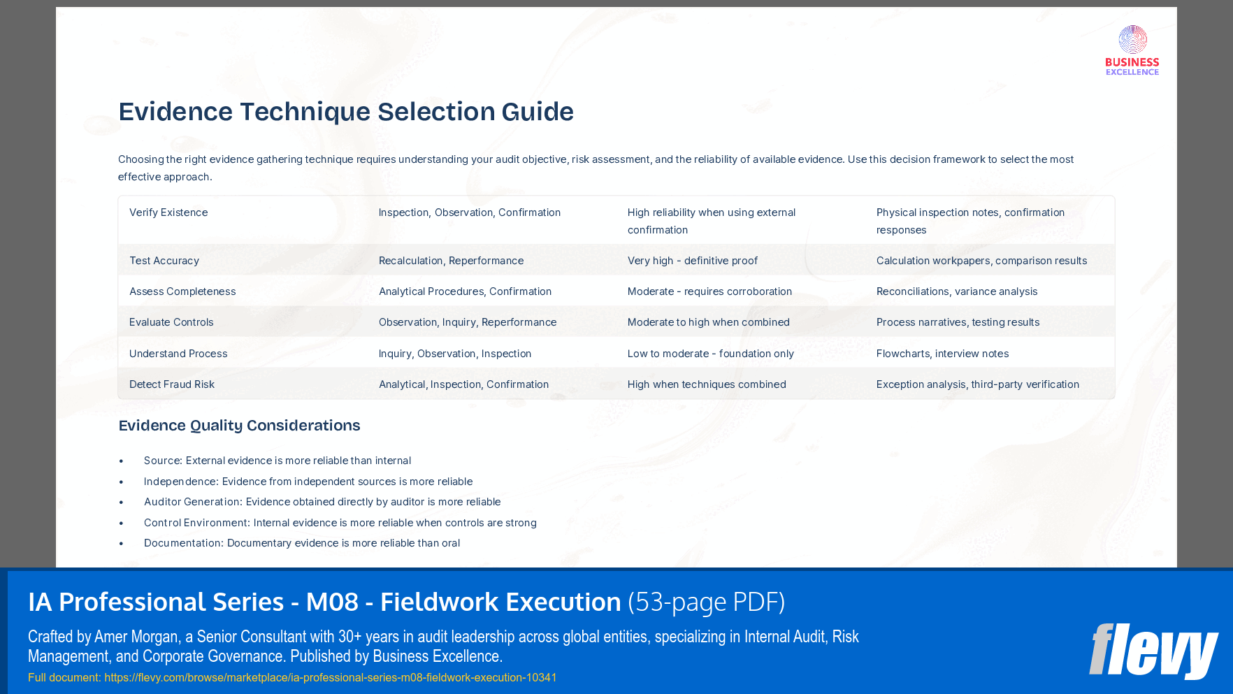 IA Professional Series - M08 - Fieldwork Execution (53-page PDF document) Preview Image