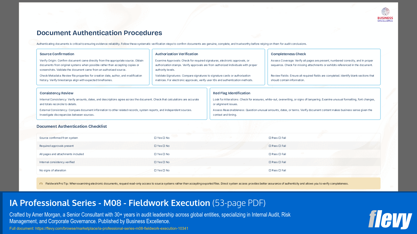 IA Professional Series - M08 - Fieldwork Execution (53-page PDF document) Preview Image