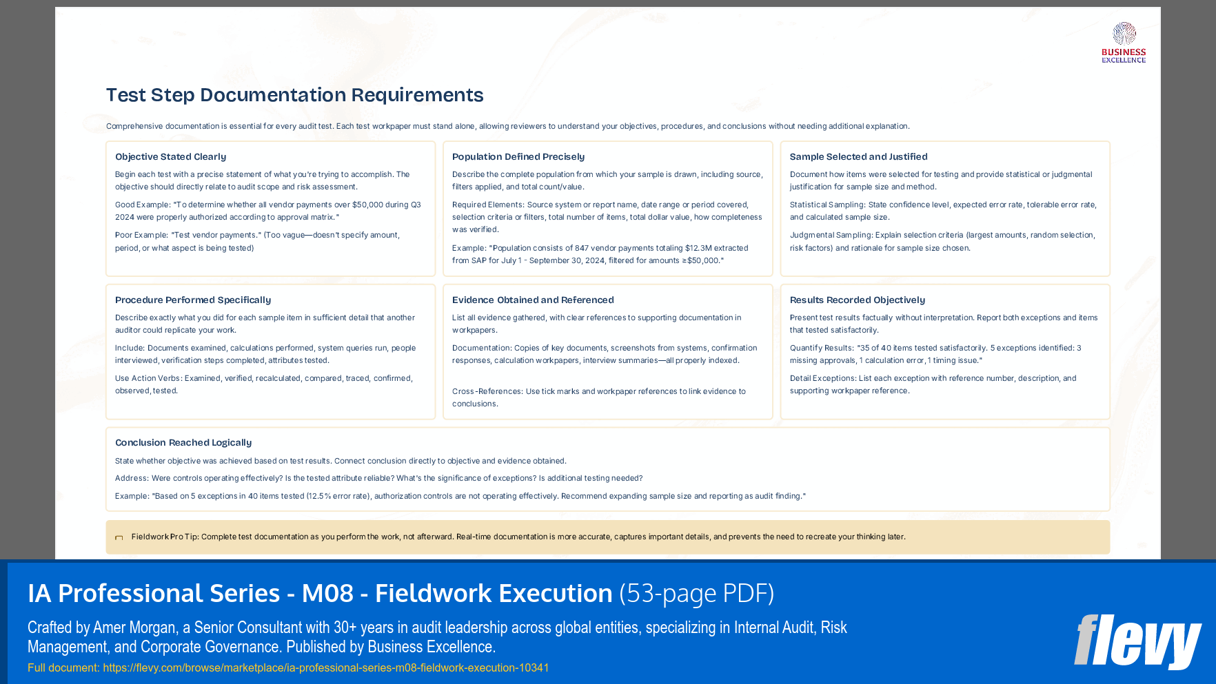 IA Professional Series - M08 - Fieldwork Execution (53-page PDF document) Preview Image