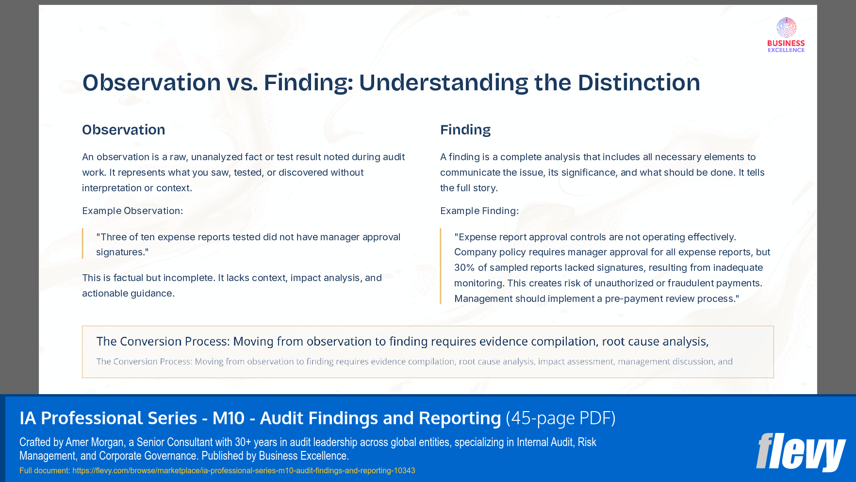 IA Professional Series - M10 - Audit Findings and Reporting (45-page PDF document) Preview Image