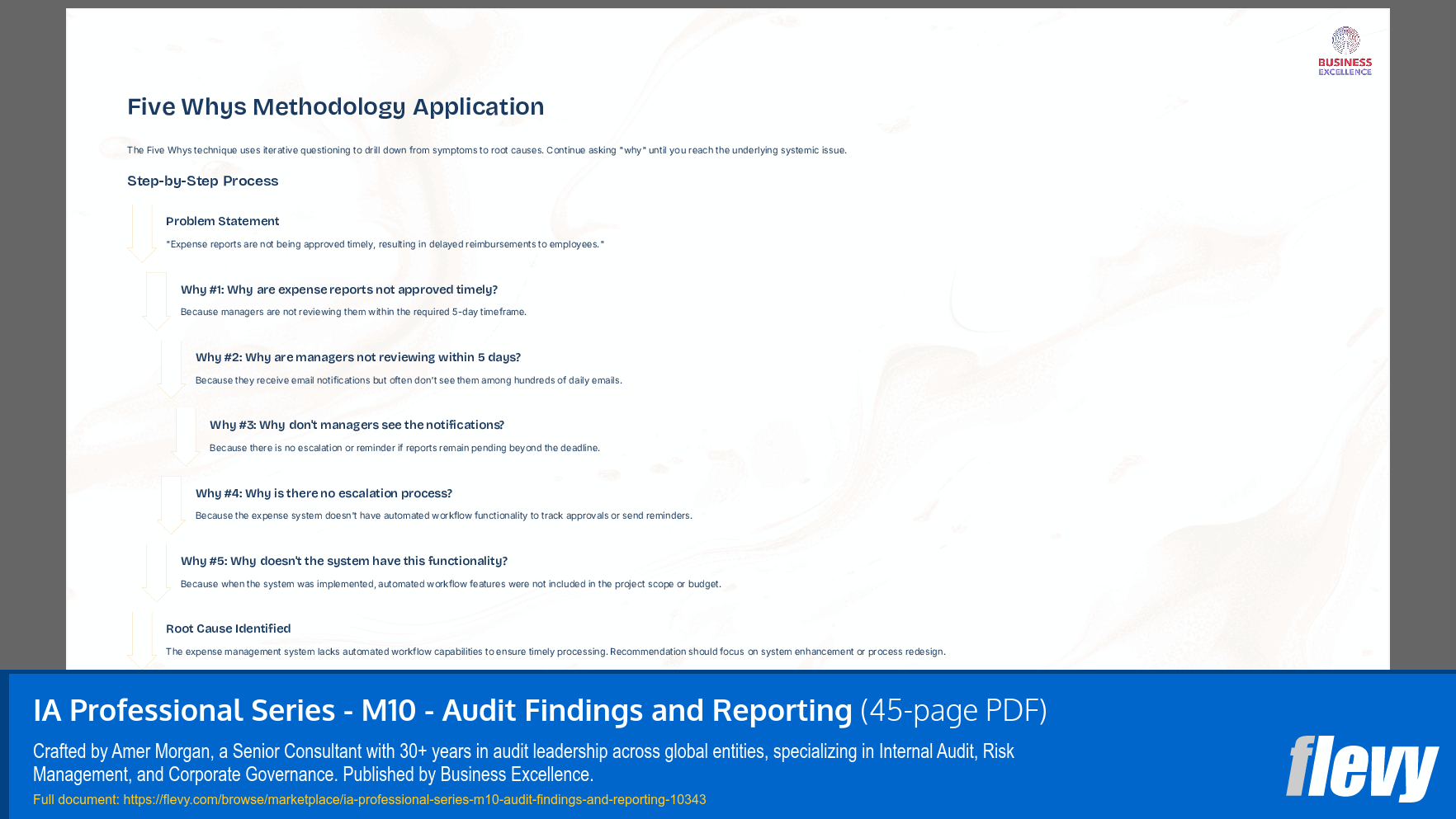 IA Professional Series - M10 - Audit Findings and Reporting (45-page PDF document) Preview Image