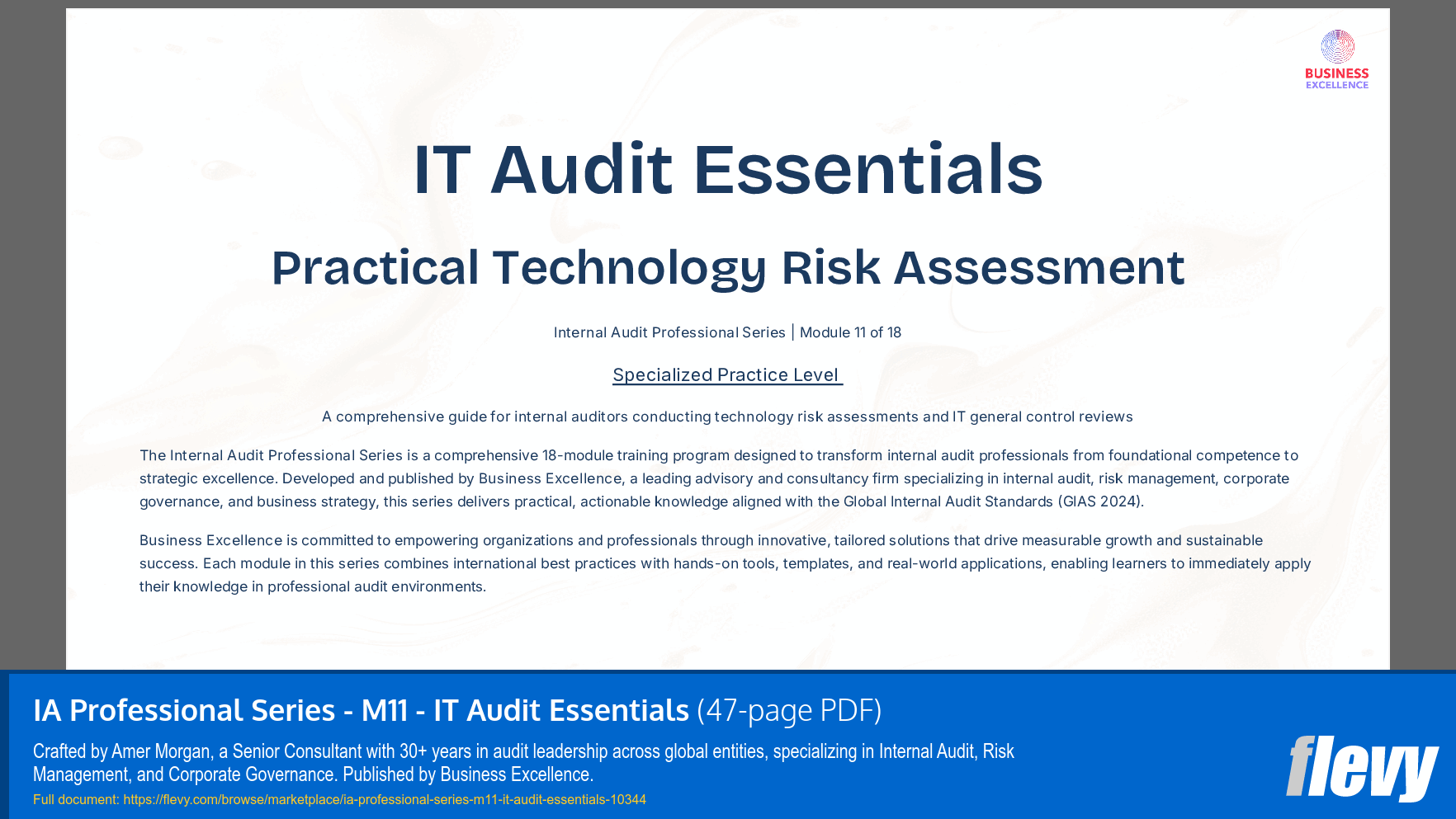 IA Professional Series - M11 - IT Audit Essentials (47-page PDF document) Preview Image