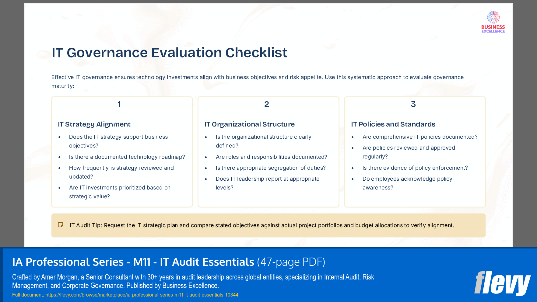 IA Professional Series - M11 - IT Audit Essentials (47-page PDF document) Preview Image