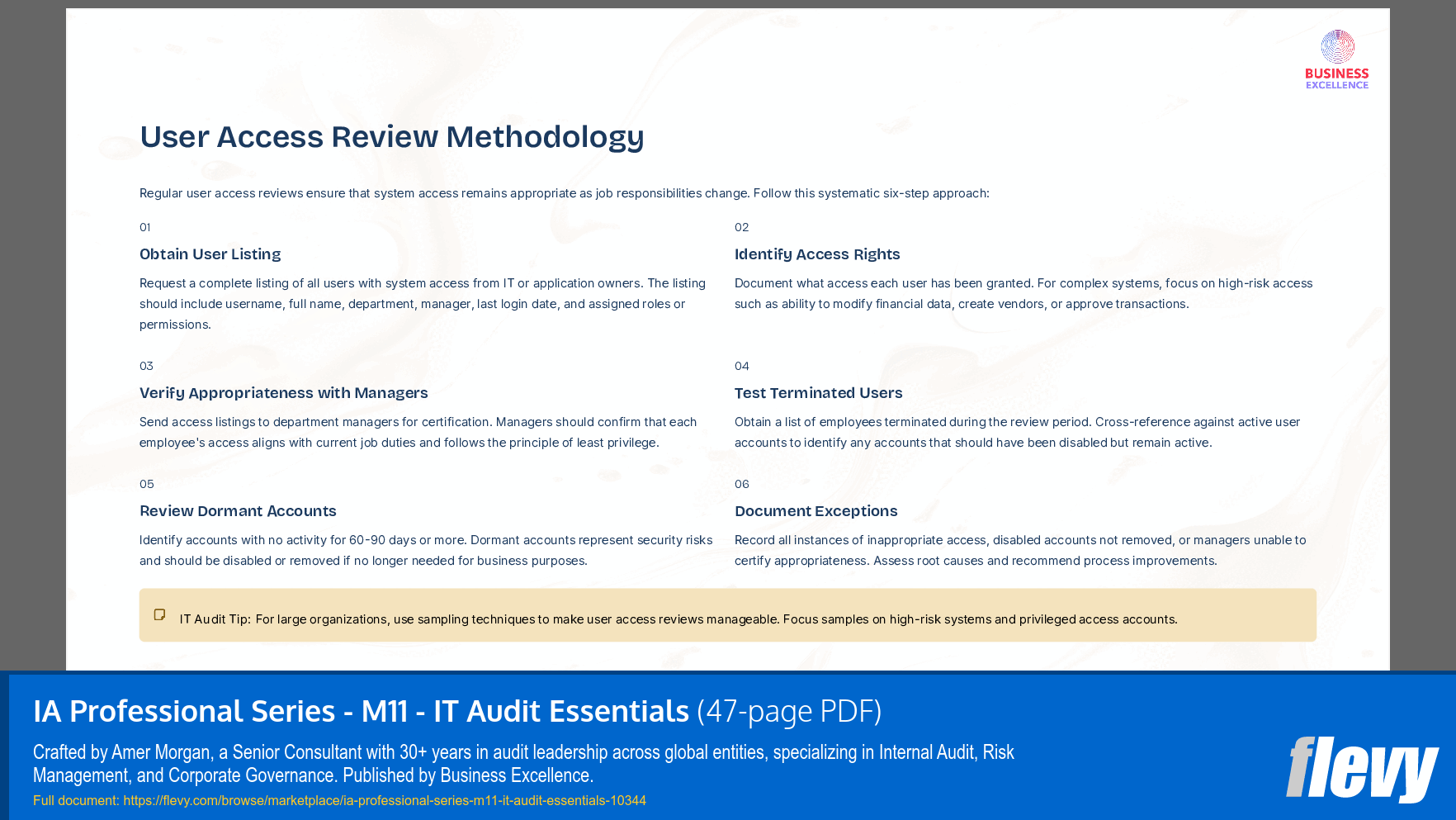IA Professional Series - M11 - IT Audit Essentials (47-page PDF document) Preview Image