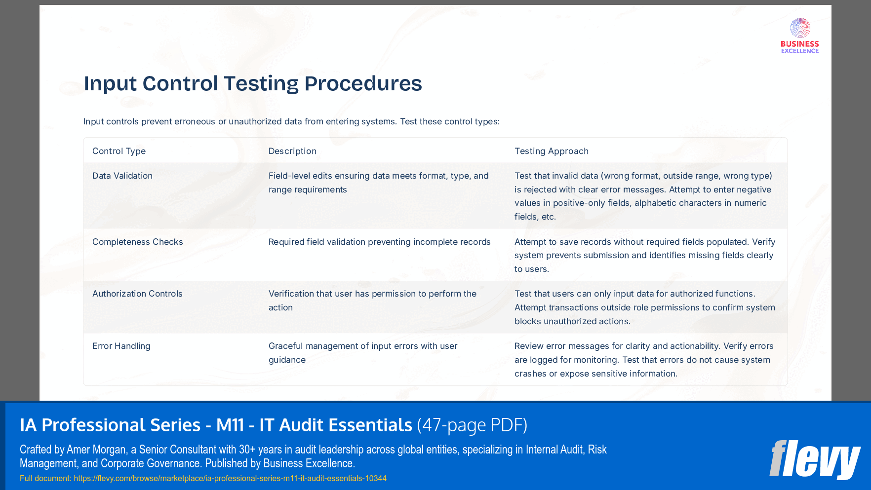 IA Professional Series - M11 - IT Audit Essentials (47-page PDF document) Preview Image