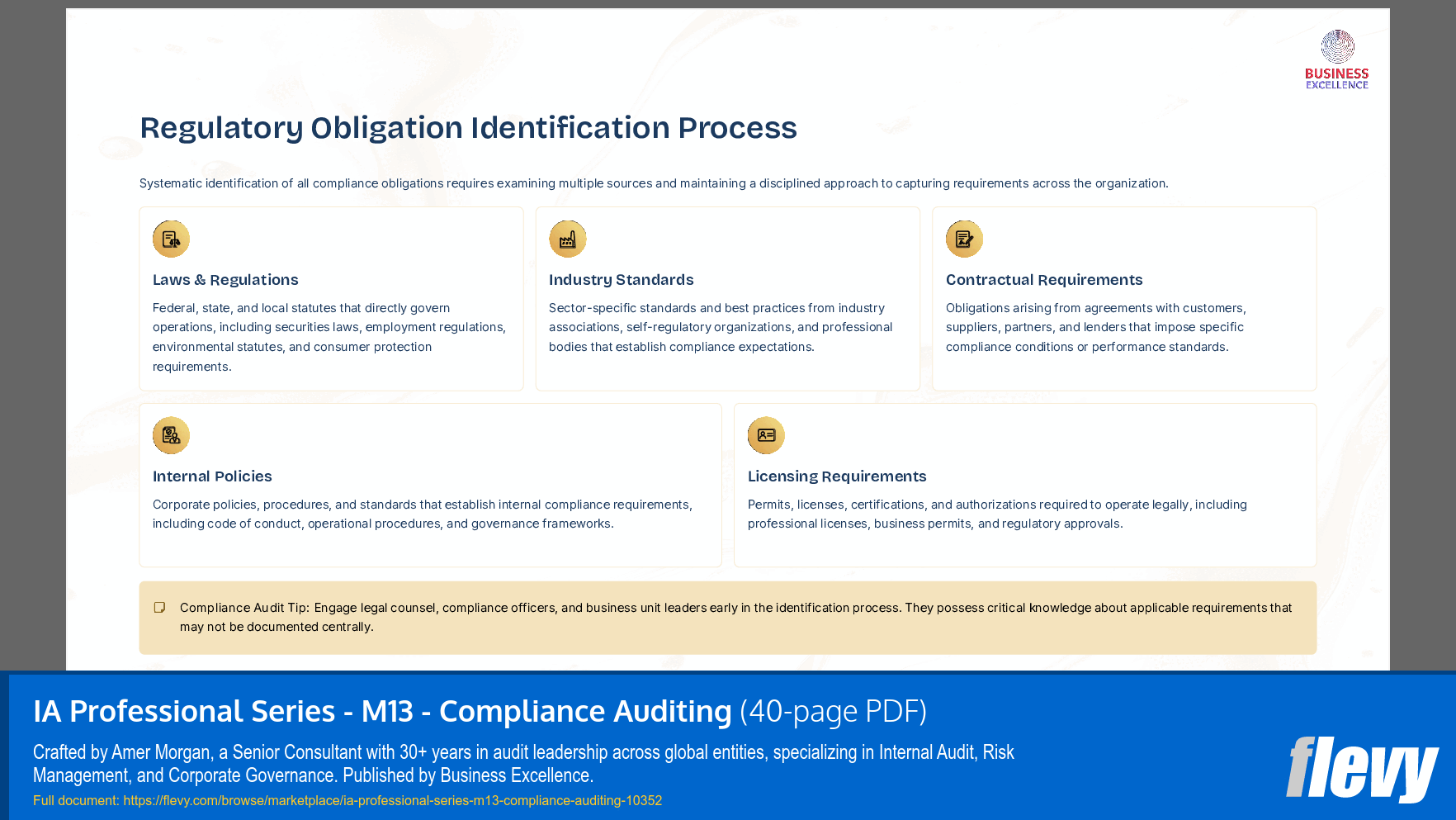 IA Professional Series - M13 - Compliance Auditing (40-page PDF document) Preview Image