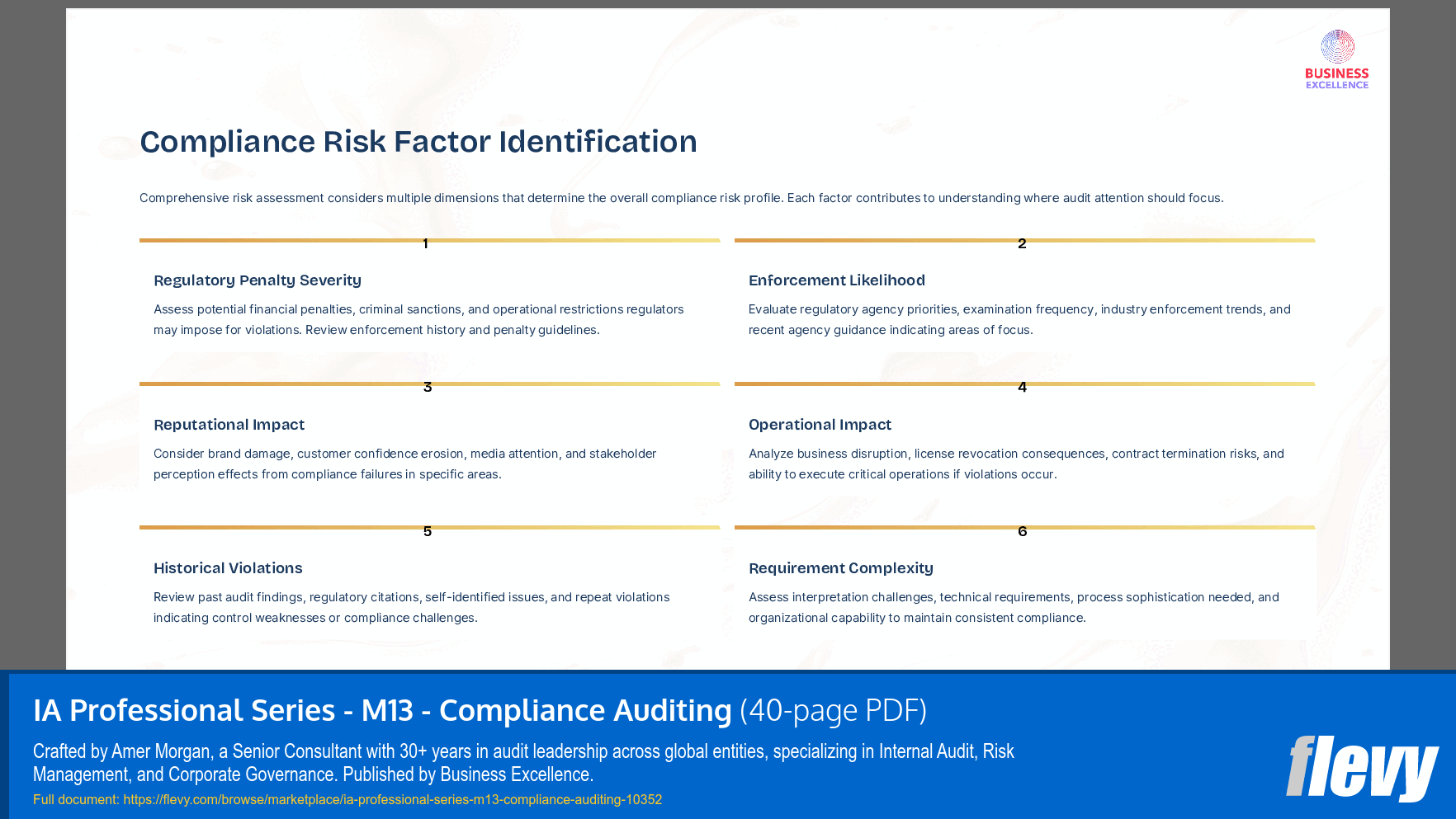 IA Professional Series - M13 - Compliance Auditing (40-page PDF document) Preview Image