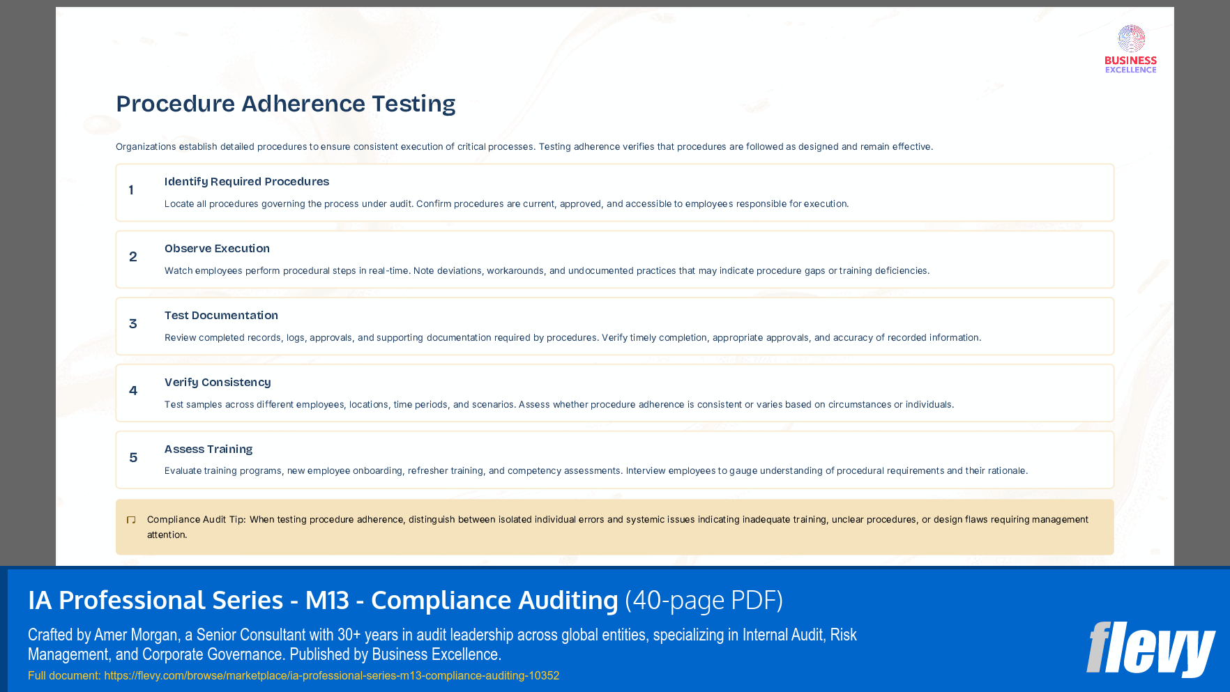 IA Professional Series - M13 - Compliance Auditing (40-page PDF document) Preview Image
