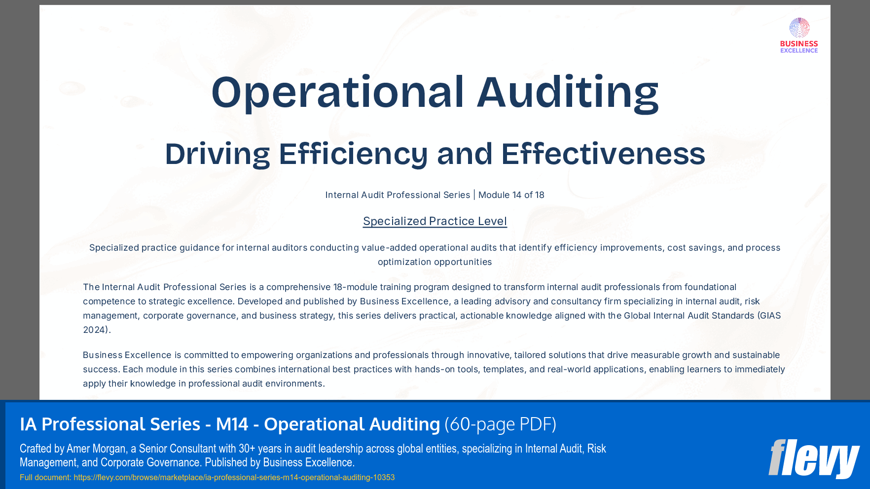 IA Professional Series - M14 - Operational Auditing (60-page PDF document) Preview Image